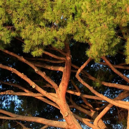 Les Mouettes - Teritoria Ξενοδοχείο