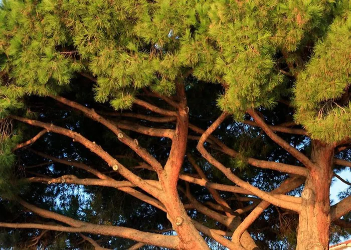 Les Mouettes - Teritoria Hotel