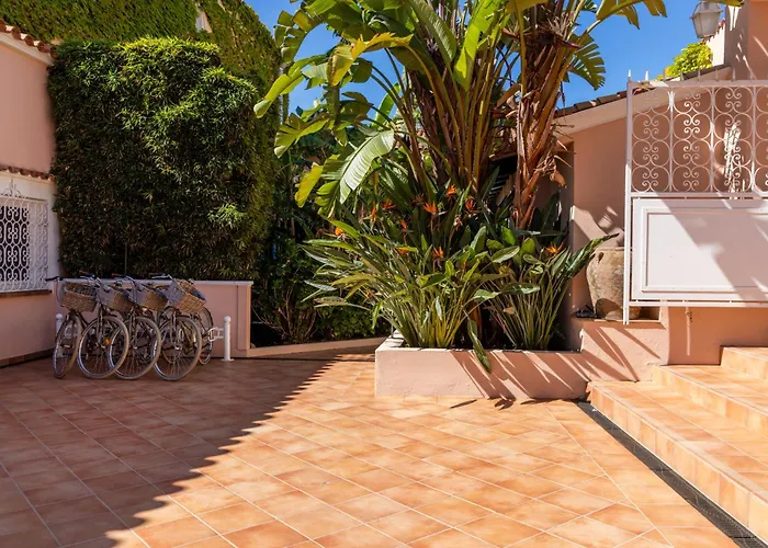 Les Mouettes - Les Collectionneurs